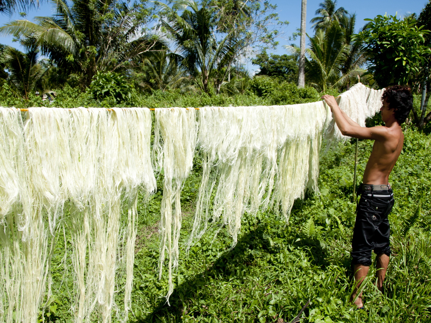 farmers-hang-the-fibres-to-dry