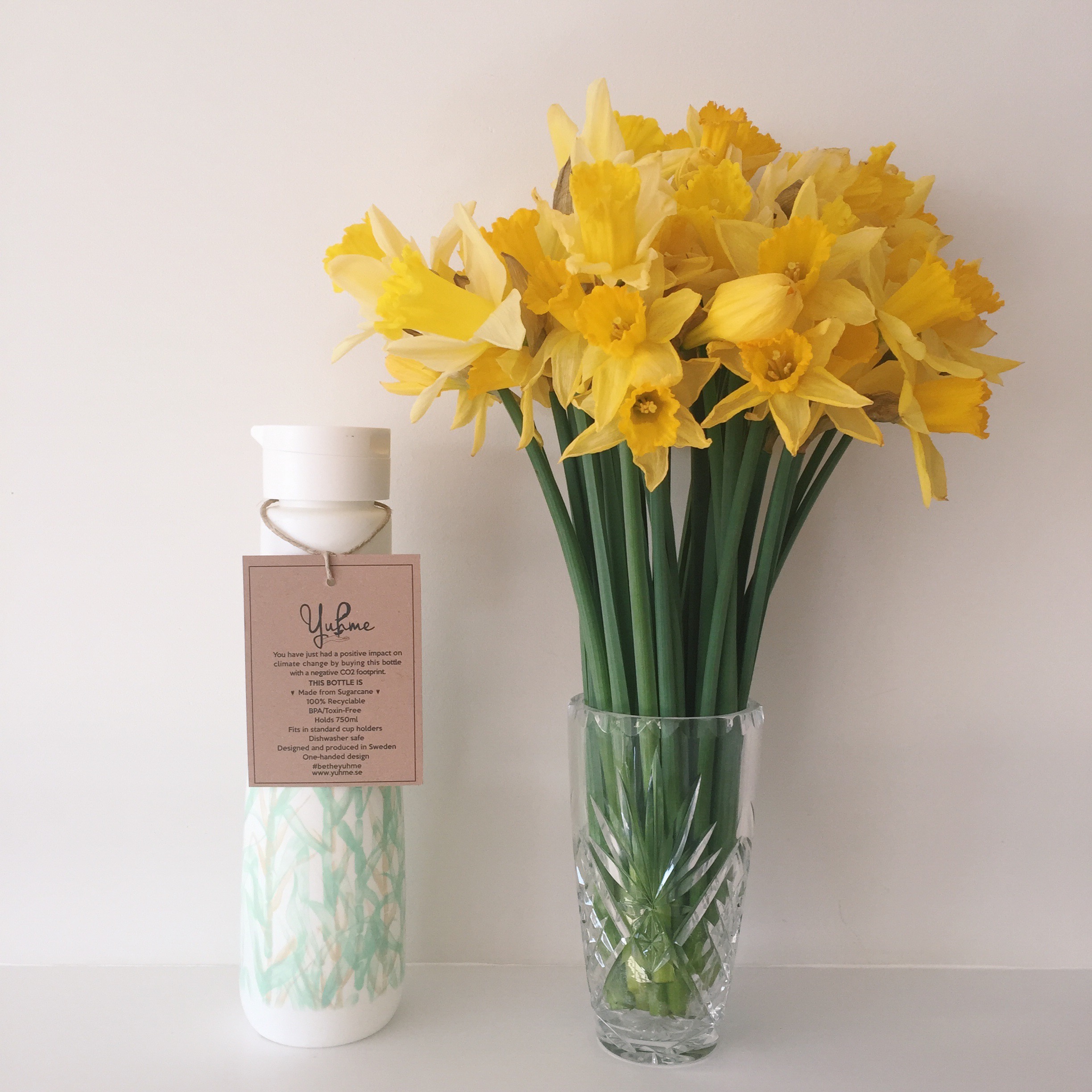 The world's most eco-friendly water bottle