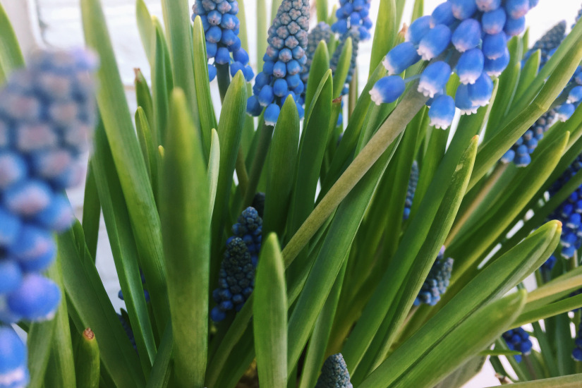 10 easy ways to protect nature