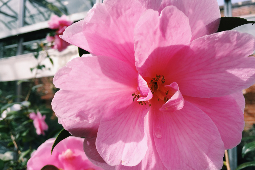 10 easy ways to protect nature