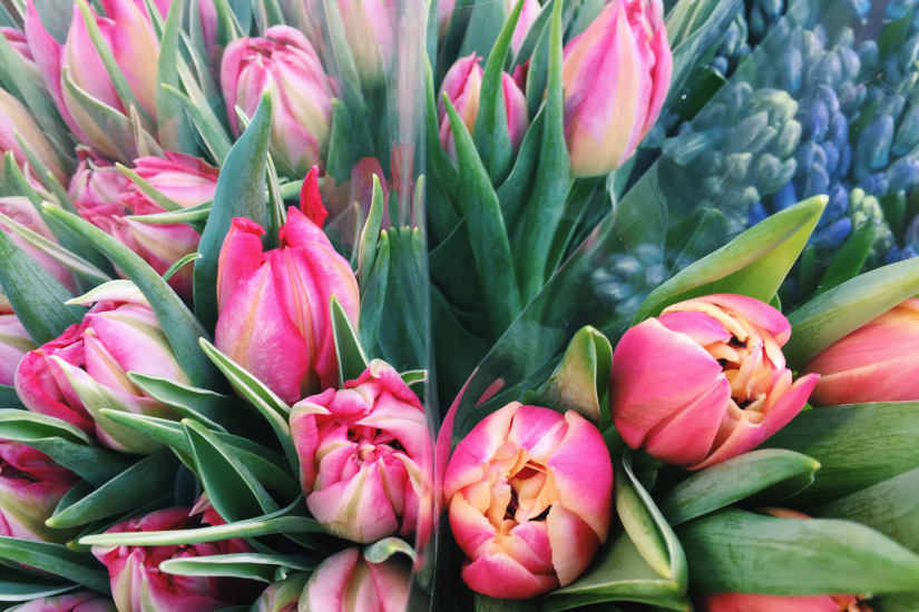 Processed with VSCO with c1 preset