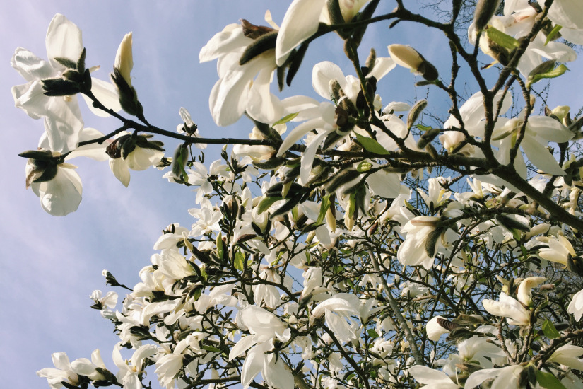 10 easy ways to protect nature