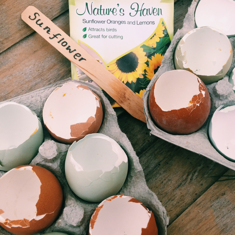 Processed with VSCO with c1 preset