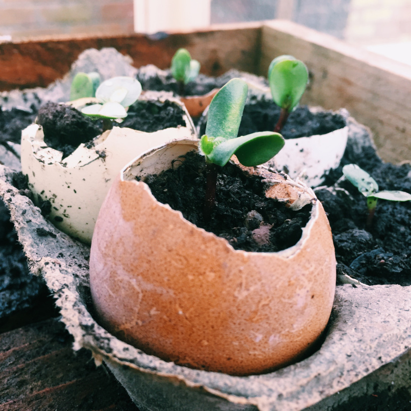 Processed with VSCO with c1 preset