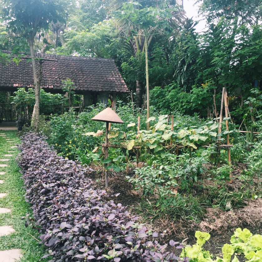 Processed with VSCO with c1 preset