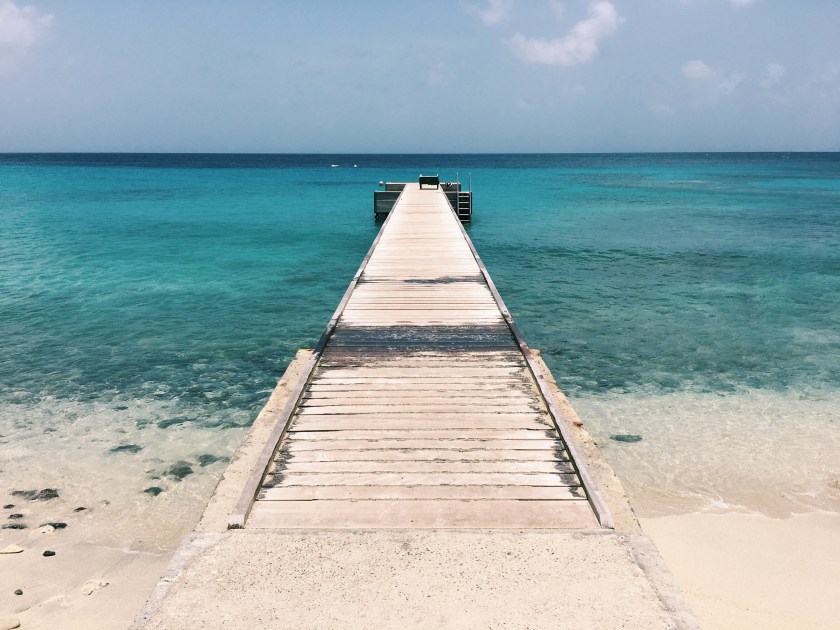 Processed with VSCO with c1 preset