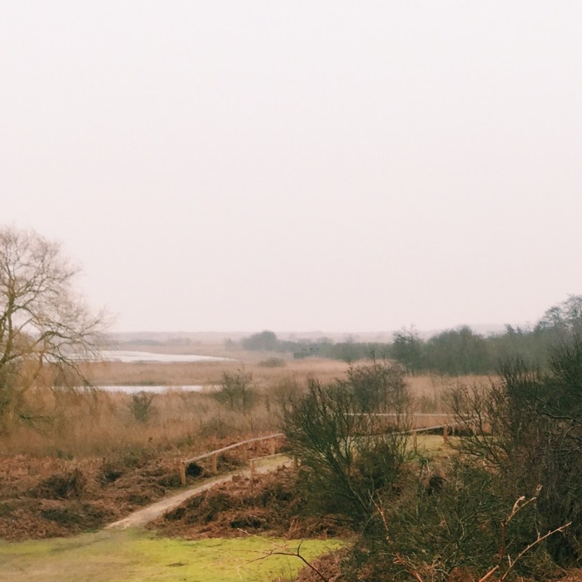 Processed with VSCO with c1 preset