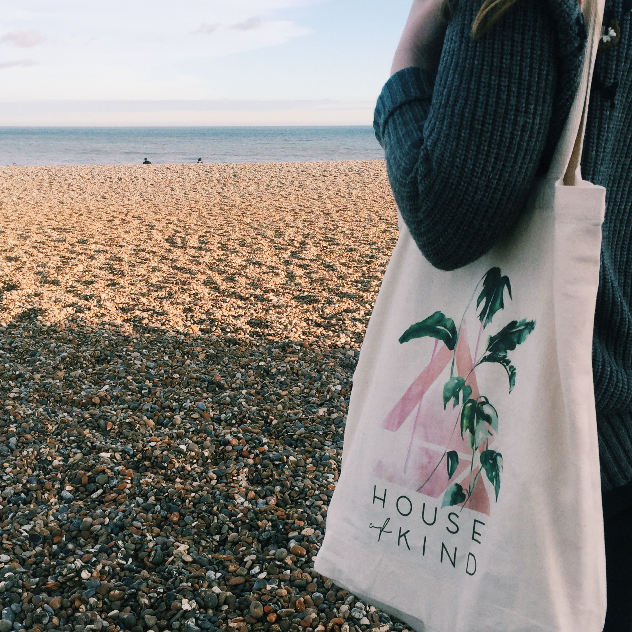 Sustainability in the News - January 2018