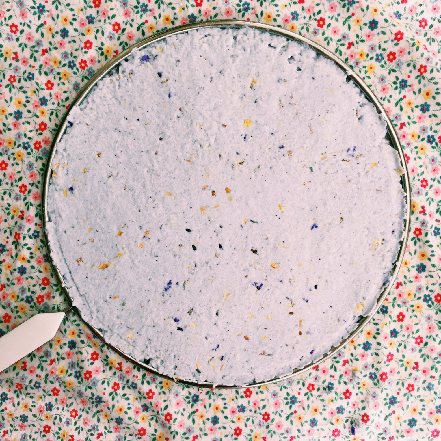 Homemade Plantable Seed Paper