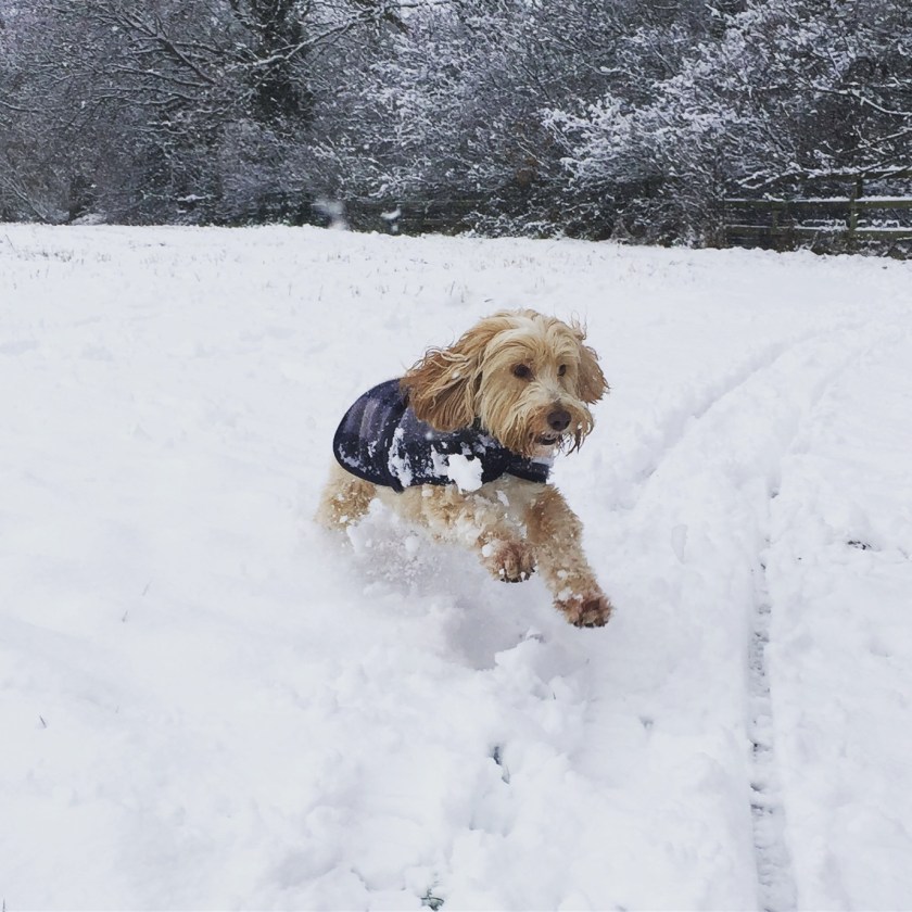 56B774F7-966F-42C4-A6DC-FCABCF387C23