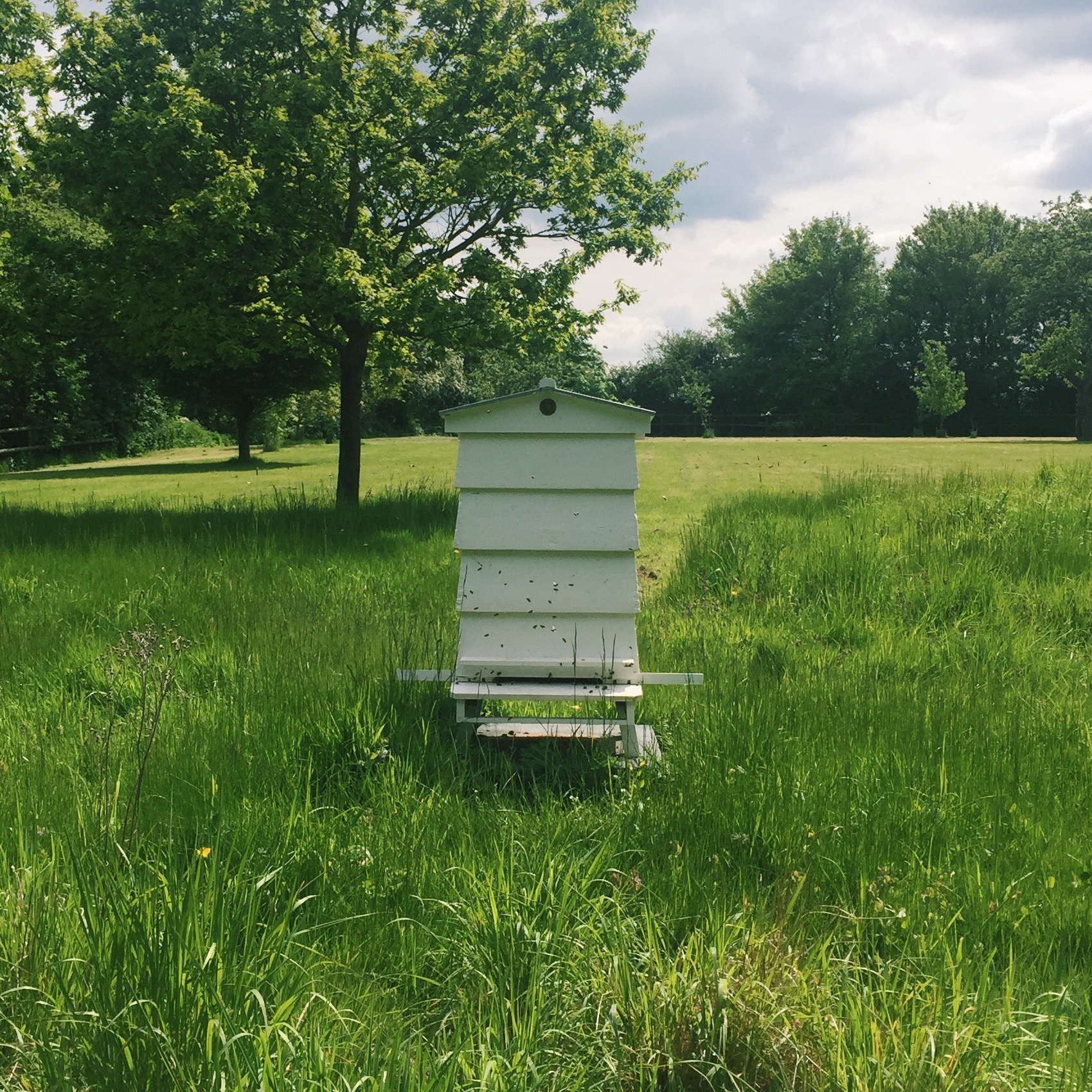 Processed with VSCO with c1 preset