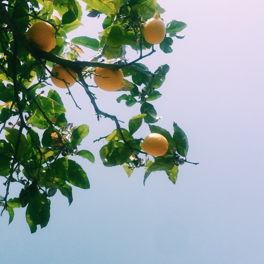 Sustainability in the News - April 2018