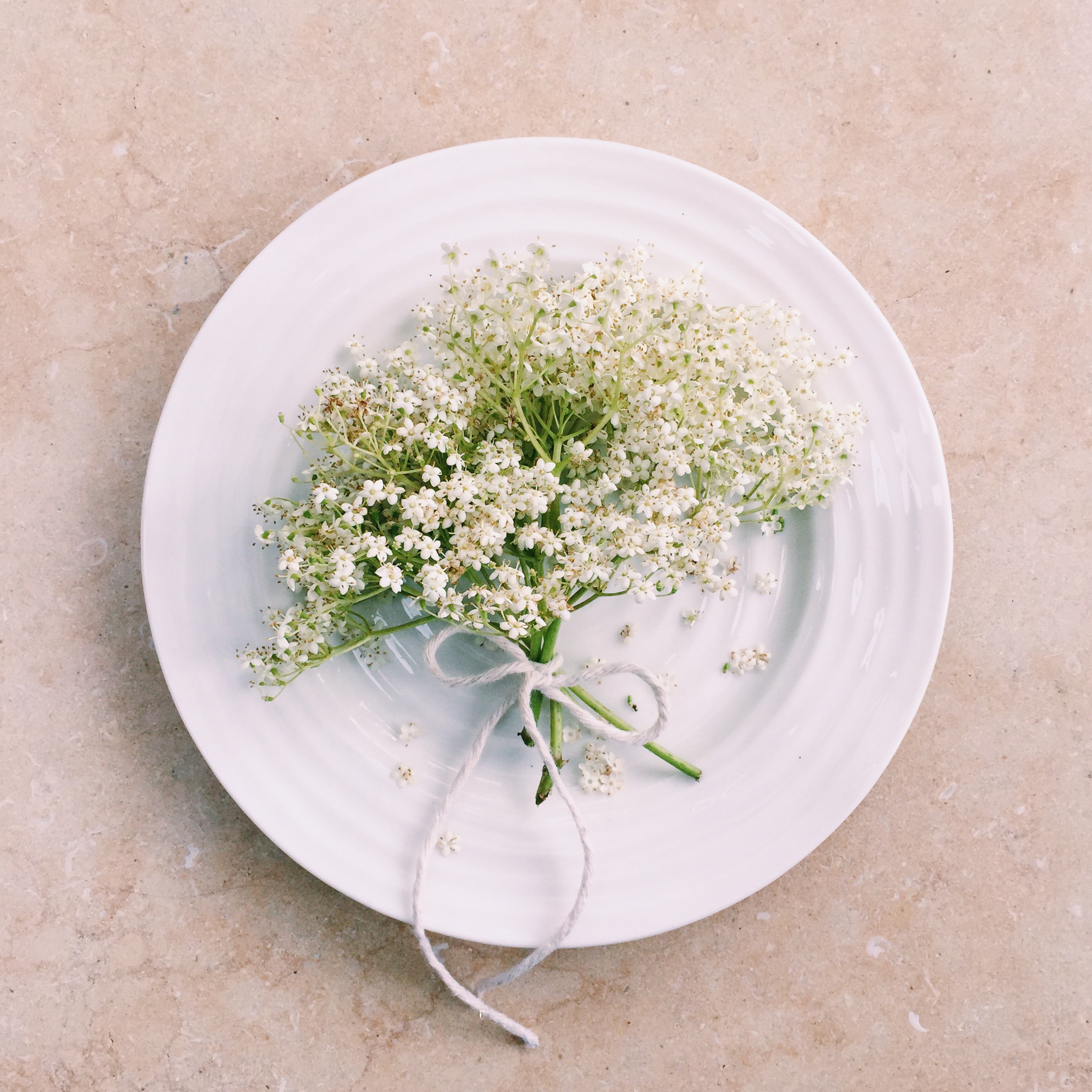 Deliciously Simple Elderflower Champagne Recipe