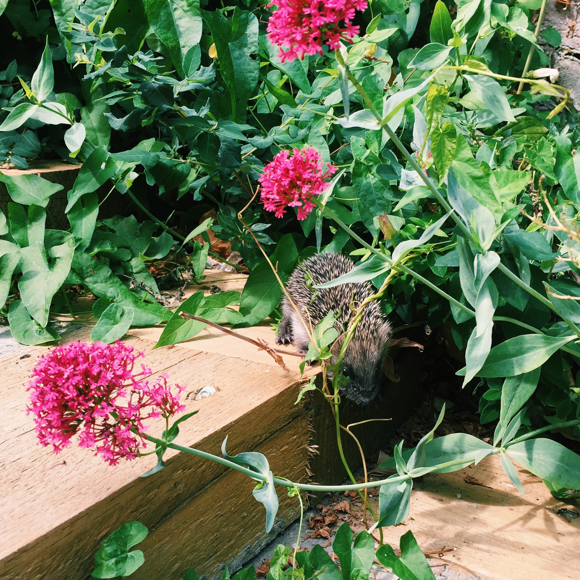 3e260ceb-c75c-4609-81e3-54daeda26a3f