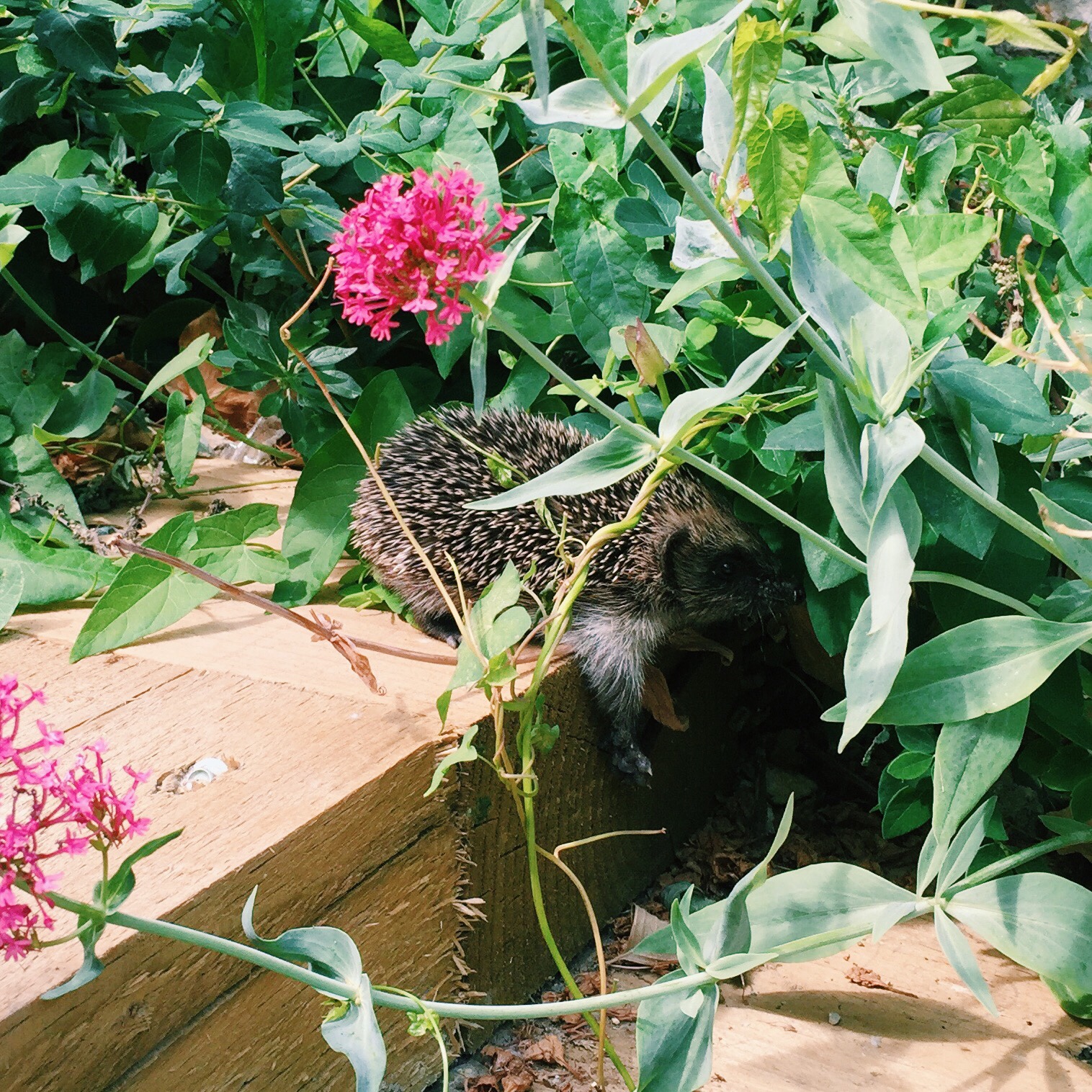 eb693ecf-572f-4396-8d62-7185ac50beff