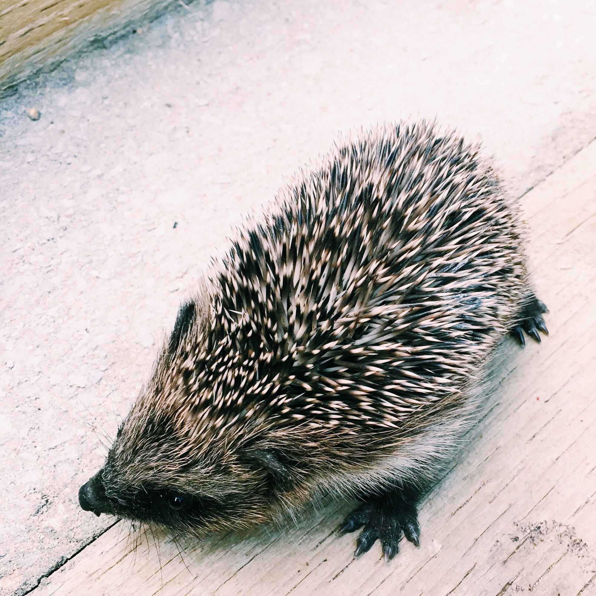 f995c241-0ec0-4d10-89e4-a6c25f0793dc