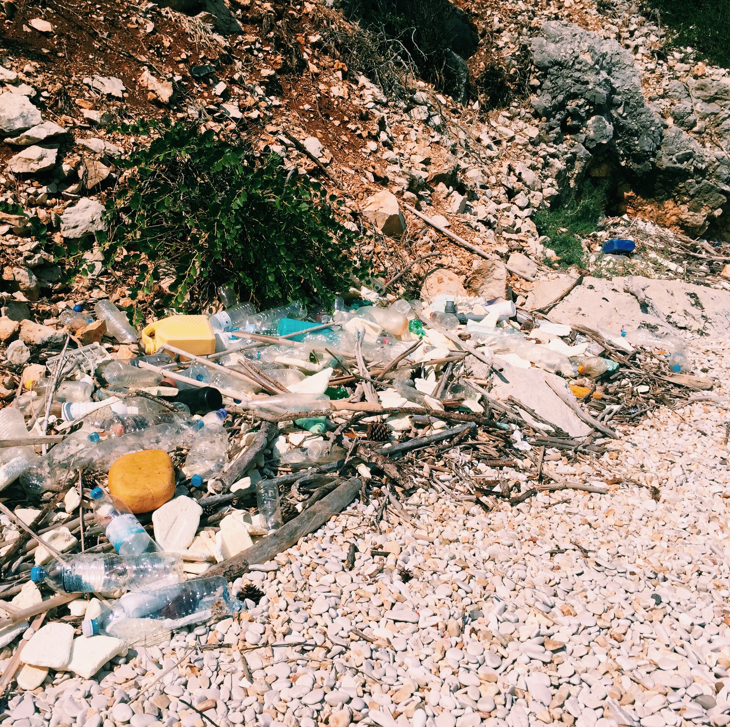 6ba6fd65-dc12-447e-a8c6-58c2e1b44d9e