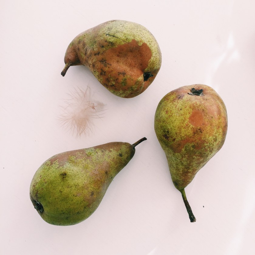 Processed with VSCO with c1 preset