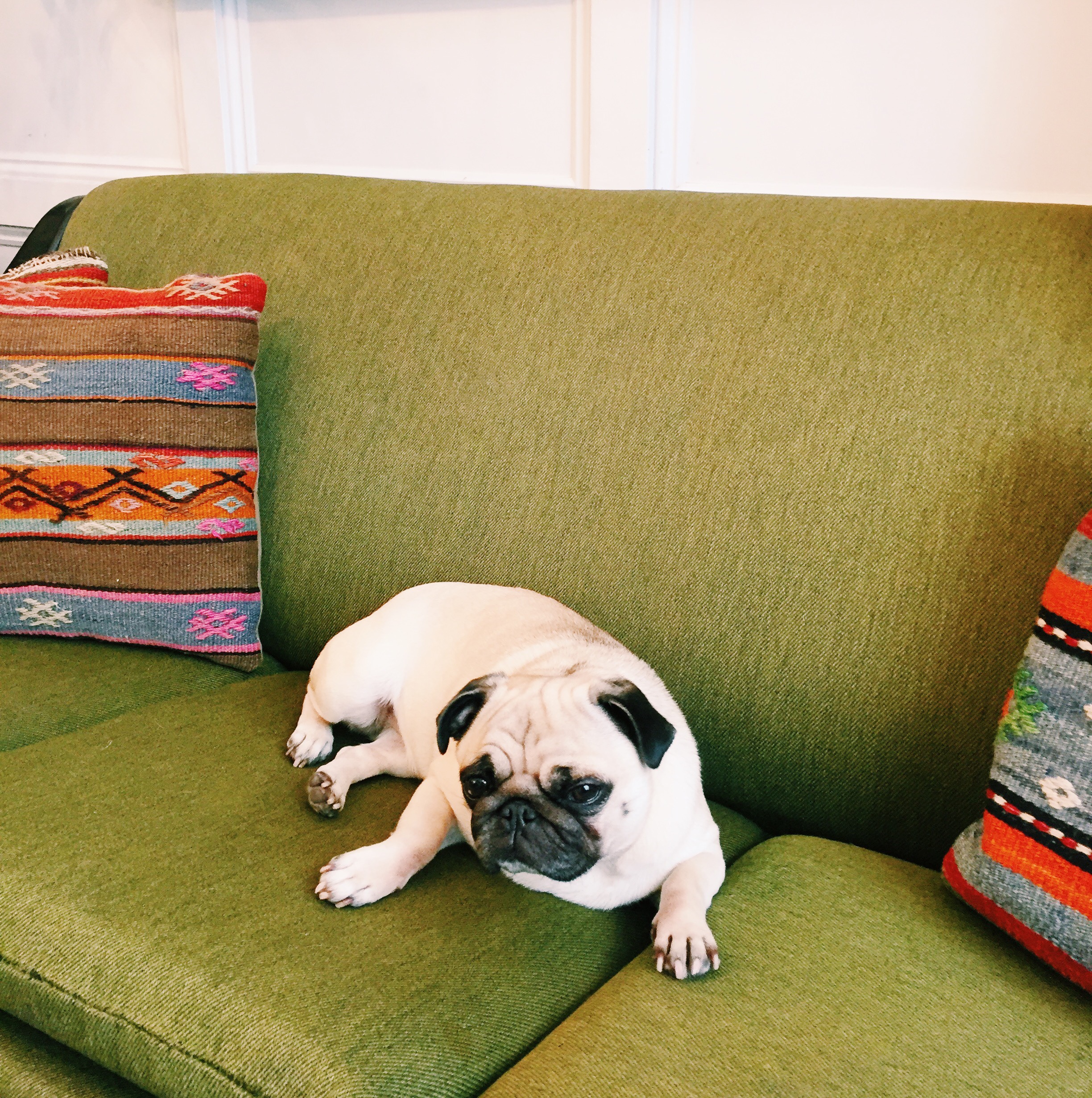 Processed with VSCO with c1 preset